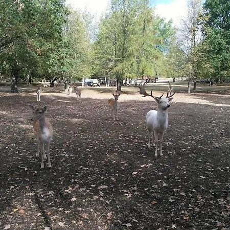 Rietschen, Erleben 公寓 Rietschen