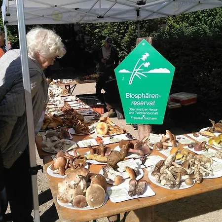 Rietschen, Erleben * Rietschen