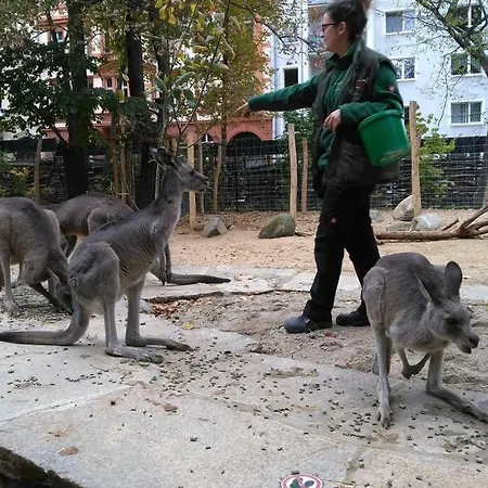 公寓 Rietschen, Erleben Rietschen