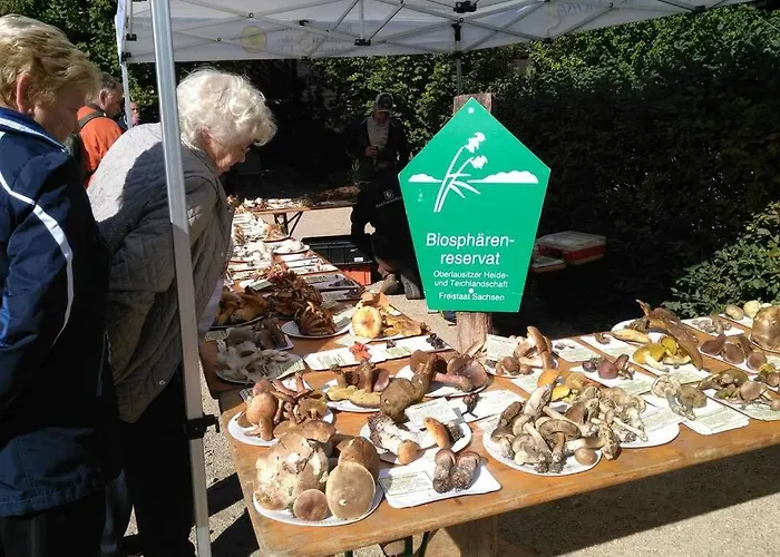 Rietschen, Erleben * Rietschen