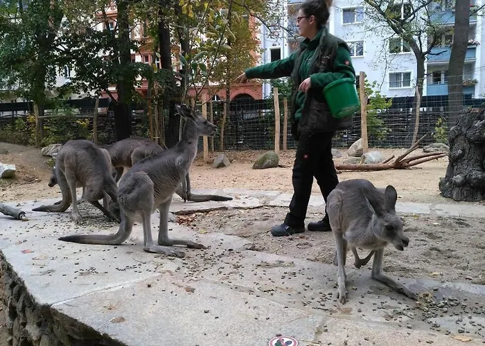 Apartment Rietschen, Erleben Rietschen